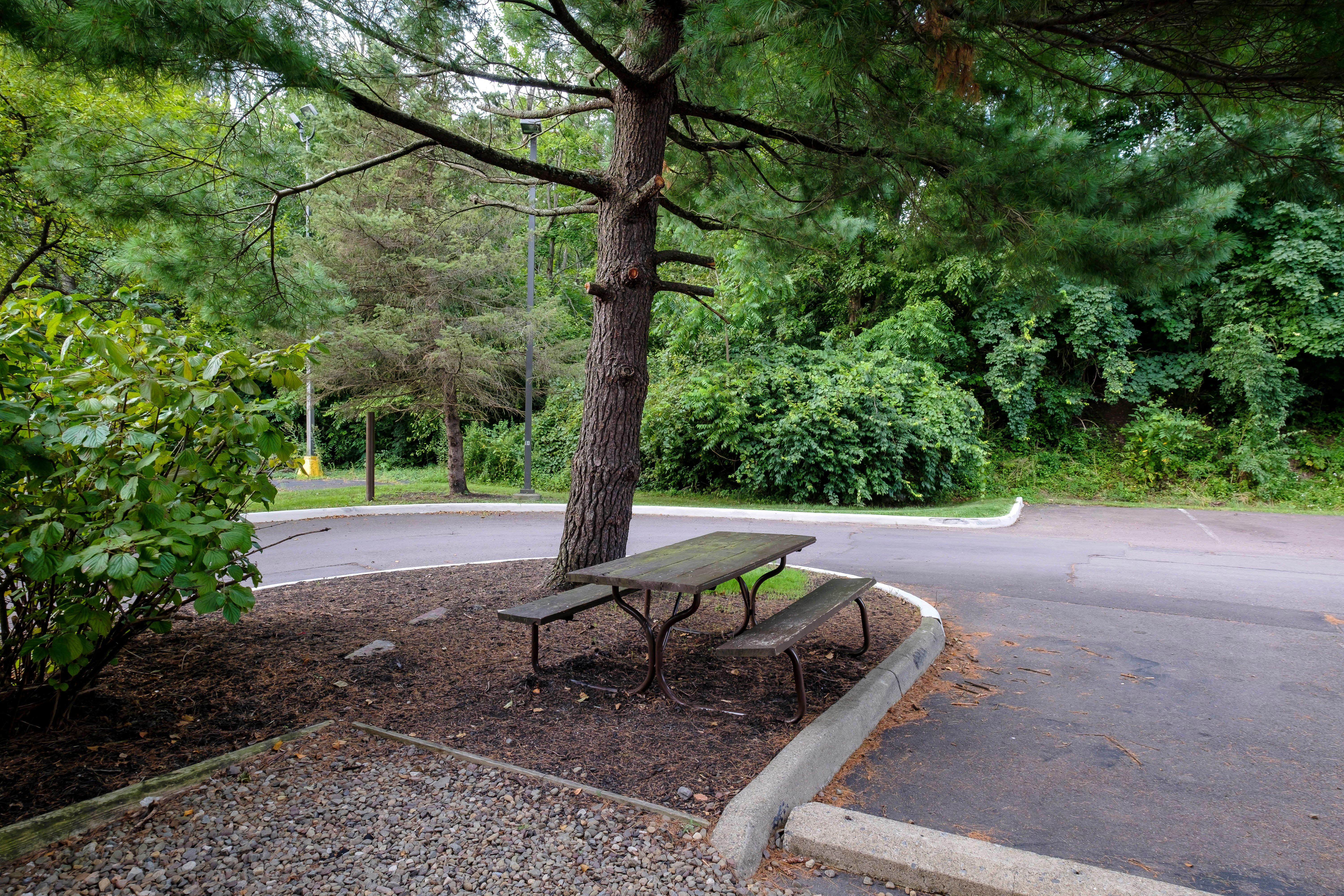 Red Roof Inn Danville, Pa Екстериор снимка